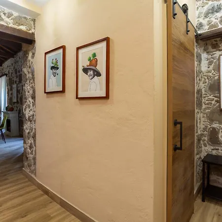 Casa Emblematica La Alameda 度假居 *